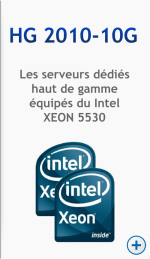 HG 2010-10G : le serveur dédié sans compromis OVH